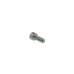 Vis CHC 8X20mm