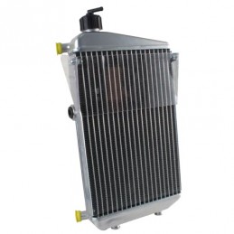 RADIATEUR DD2 EVO