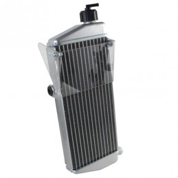 RADIATEUR MAX EVO / J125...