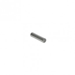 PION D4 L15.8