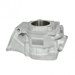 CYLINDRE DD2 EVO 2024 'B'