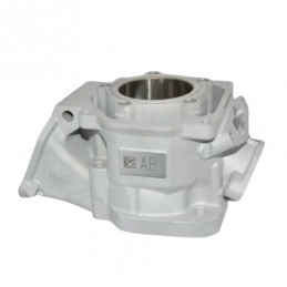 CYLINDRE MAX EVO 2024 'B'