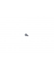 Vis CHC 4x8mm